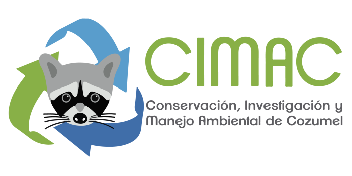 Logo CIMAC_Mesa de trabajo 2